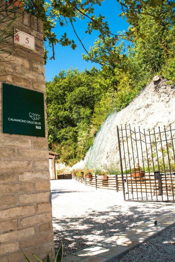 Calmancino Delle Selve Bed & Breakfast Urbino Exterior photo